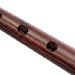 Palo Santo